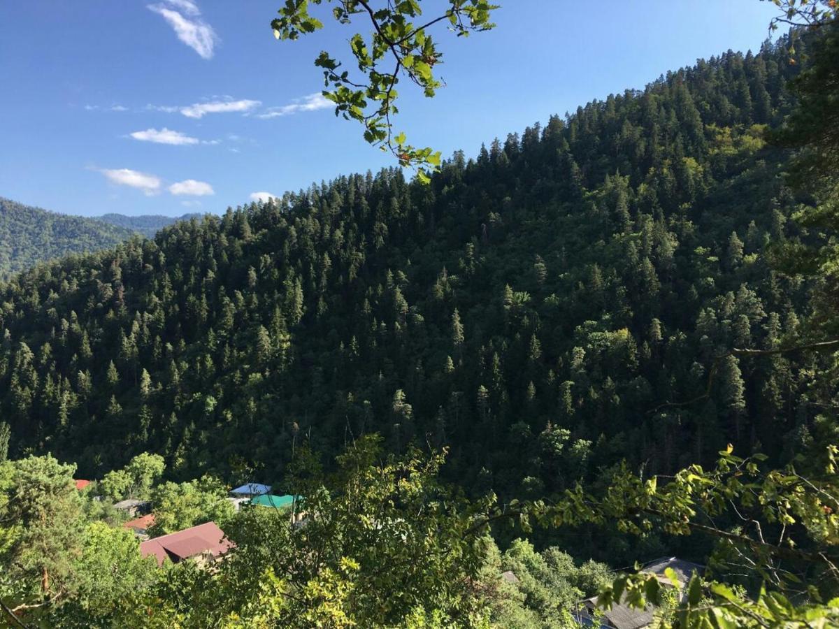 Serenity Likani Villa Hotel Borzsomi Kültér fotó