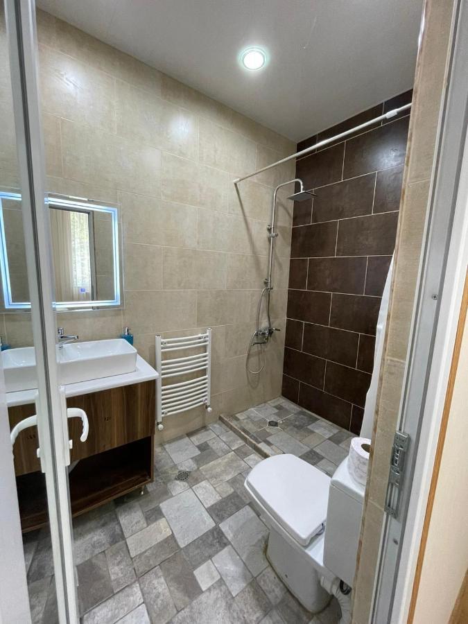 Serenity Likani Villa Hotel Borzsomi Kültér fotó