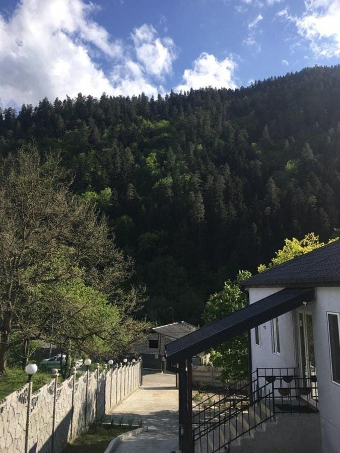 Serenity Likani Villa Hotel Borzsomi Kültér fotó
