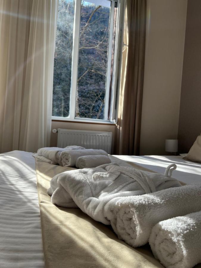 Serenity Likani Villa Hotel Borzsomi Kültér fotó