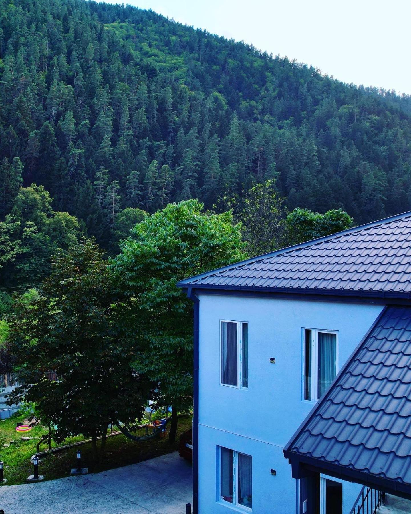 Serenity Likani Villa Hotel Borzsomi Kültér fotó